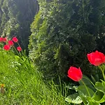 Ośrodek Rodzinny Pod Wydmami Przy Plaży , Plac Zabaw , Rowery * Sarbinowo