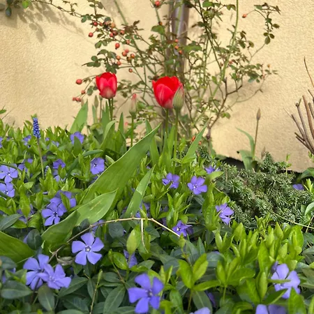 Ośrodek Rodzinny Pod Wydmami Przy Plaży , Plac Zabaw , Rowery Sarbinowo