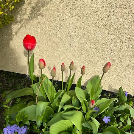 Ośrodek Rodzinny Pod Wydmami Przy Plaży , Plac Zabaw , Rowery