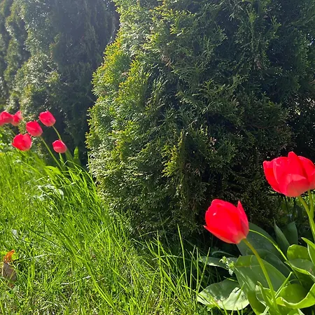 Ośrodek Rodzinny Pod Wydmami Przy Plaży , Plac Zabaw , Rowery * Sarbinowo