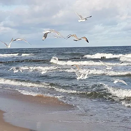 Ośrodek Rodzinny Pod Wydmami Przy Plaży , Plac Zabaw , Rowery *