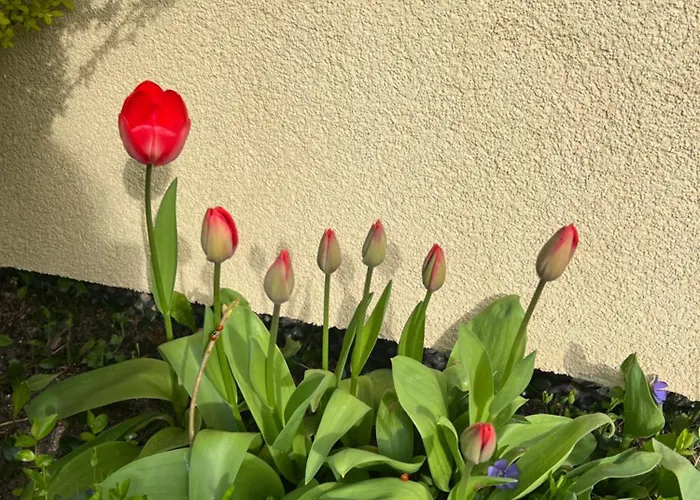 Ośrodek Rodzinny Pod Wydmami Przy Plaży , Plac Zabaw , Rowery