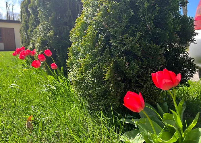 Ośrodek Rodzinny Pod Wydmami Przy Plaży , Plac Zabaw , Rowery * Sarbinowo